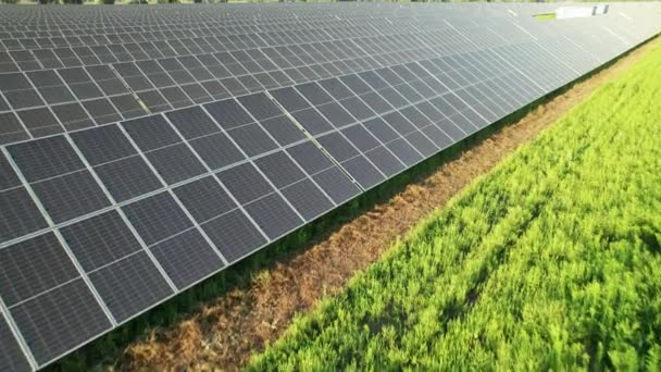 सूर्यास्त में ग्रीन फील्ड पर हवाई दृश्य सौर ऊर्जा स्टेशन, पंक्ति में सौर पैनलों — स्टॉक वीडियो