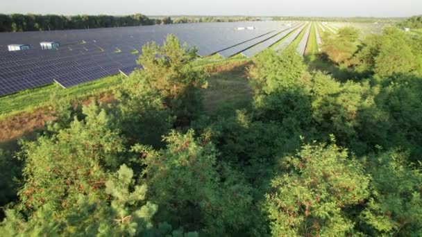 Centrale solare con vista aerea sul campo verde al tramonto, pannelli solari in fila — Video Stock