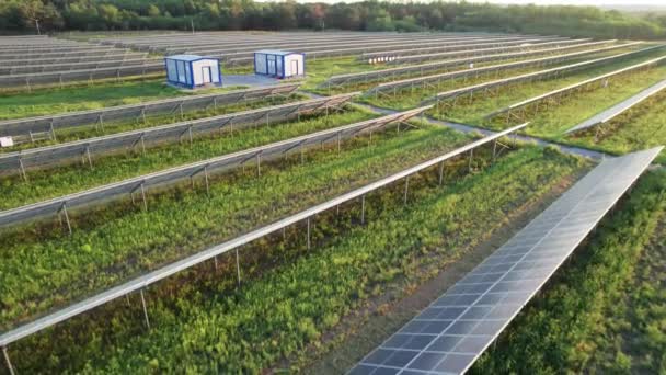 Vista aérea de la granja solar en el campo verde al atardecer, paneles solares en fila — Vídeo de stock