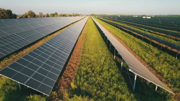 Вид з повітря на сонячну ферму на зелене поле в час заходу сонця, сонячні панелі в ряд — стокове відео