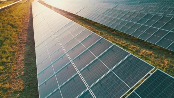 Estação de energia solar vista aérea no campo verde ao pôr do sol, painéis solares em fileira — Vídeo de Stock