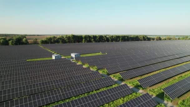 Vista aérea de la granja solar en el campo verde al atardecer, paneles solares en fila — Vídeo de stock
