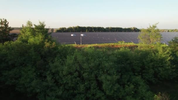 Vista aérea de la central solar en el campo verde al atardecer, paneles solares en fila — Vídeos de Stock