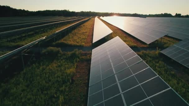 Вид с воздуха на солнечную ферму на зеленом поле во время заката, солнечные панели в ряд — стоковое видео