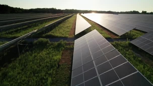 Luftaufnahme der Solarfarm auf der grünen Wiese bei Sonnenuntergang, Sonnenkollektoren in Reihe — Stockvideo