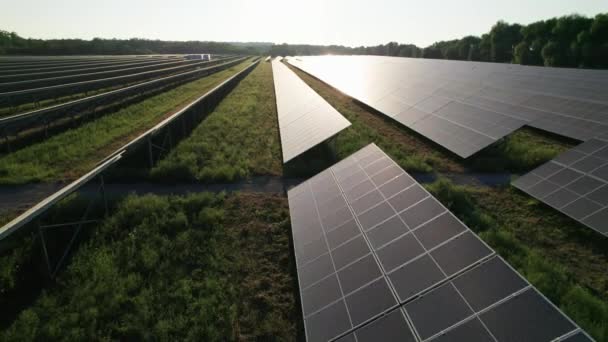 Aerial View of Solar Farm on the Green Field at Sunset Time, Solar Panels in Row — Stock Video