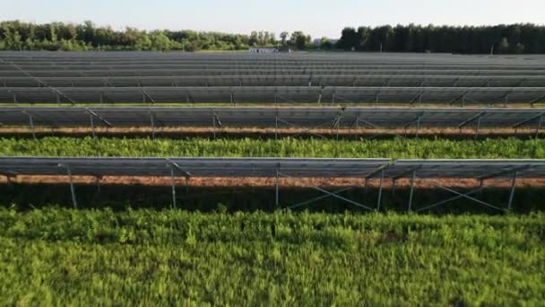 Vista aérea de la granja solar en el campo verde al atardecer, paneles solares en fila — Vídeo de stock