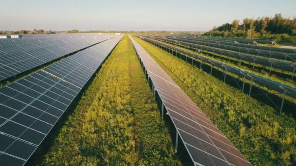 सूर्यास्त में ग्रीन फील्ड पर हवाई दृश्य सौर ऊर्जा स्टेशन, पंक्ति में सौर पैनलों — स्टॉक वीडियो