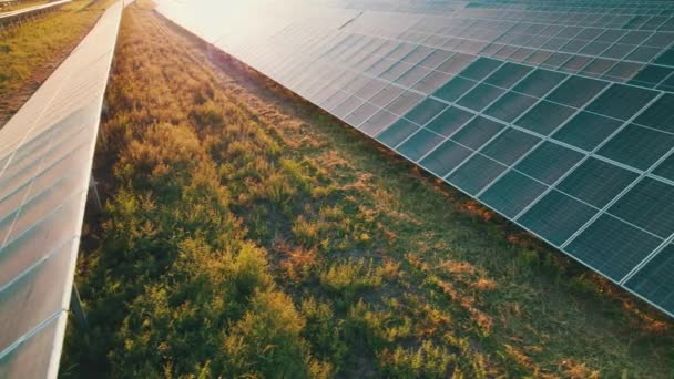 Vista aérea de la granja solar en el campo verde al atardecer, paneles solares en fila — Vídeos de Stock
