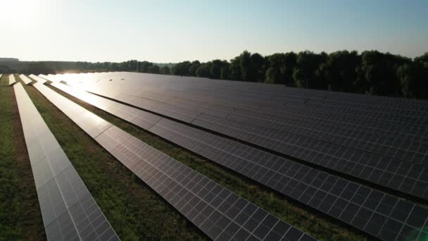 Vista aérea de la granja solar en el campo verde al atardecer, paneles solares en fila — Vídeo de stock