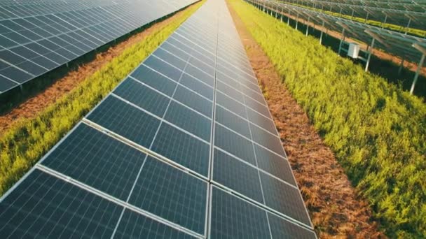 Aerial View Solar Power Station on Green Field at Sunset, Solar Panels in Row — Stock Video
