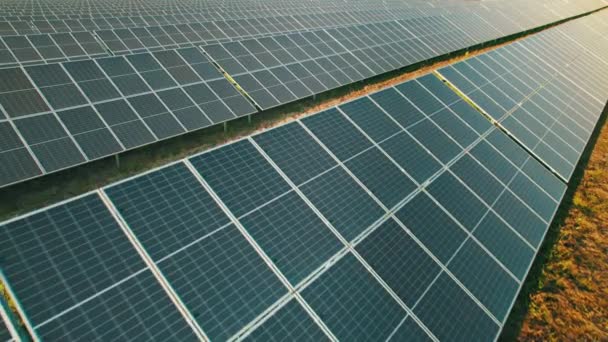 Letecký pohled Solární elektrárna na zelené pole při západu slunce, solární panely v řadě — Stock video