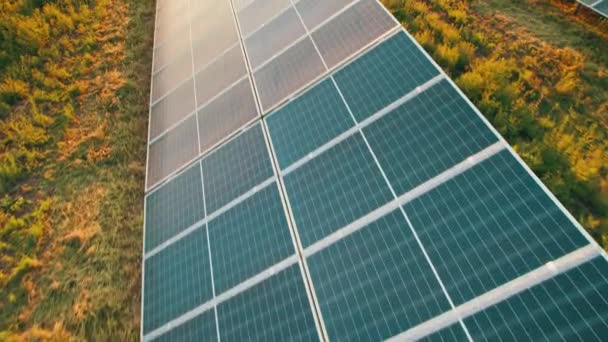 Aerial View of Solar Farm on the Green Field at Sunset Time, Solar Panels in Row — 비디오