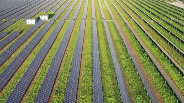 日没時のグリーンフィールド上の太陽光発電所の空中ビュー、行の太陽パネル — ストック動画