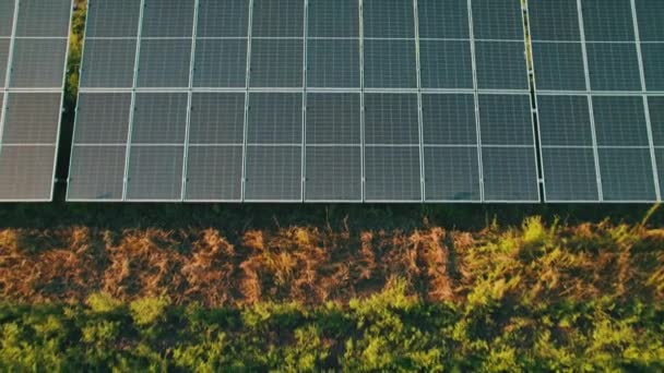 Luchtfoto van zonneboerderij op het groene veld bij zonsondergang, zonnepanelen in rij — Stockvideo