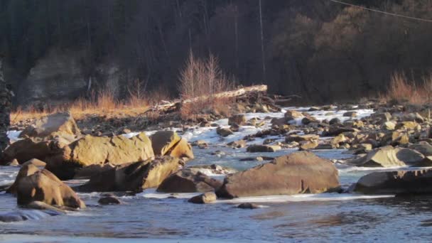 Dağ nehir hızla geçiyor — Stok video