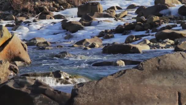 Gebirgsfluss fließt rasant — Stockvideo