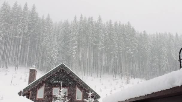 Сильний сніг приходить на тлі ялинки і дерев'яного будинку — стокове відео