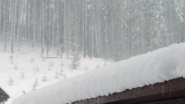 Neve forte vem no fundo das árvores de Natal e casa de madeira — Vídeo de Stock