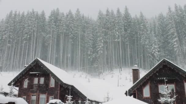 Silné sněhové přichází na pozadí vánočních stromků a dřevěný dům — Stock video