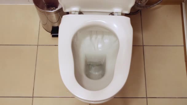 Afvoer water in het toilet — Stockvideo