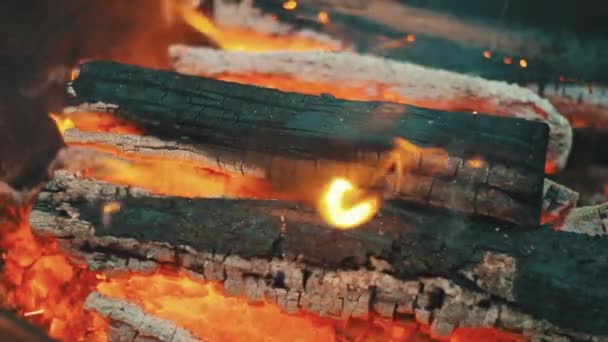 Lagerfeuer aus Holz — Stockvideo