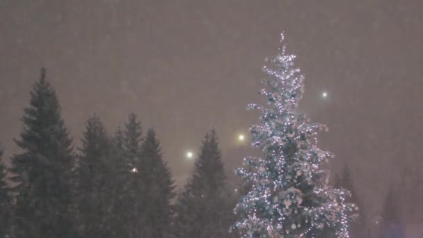 Weihnachtsbaum und Schnee fallen im Waldhintergrund — Stockvideo