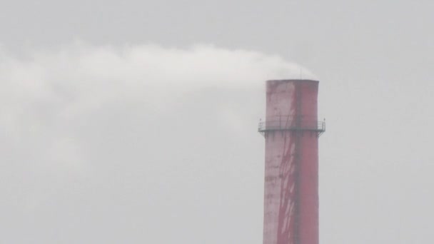 L'usine, l'industrie lourde, la fumée des tuyaux — Video