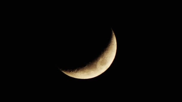 Большая луна в ночном небе — стоковое видео