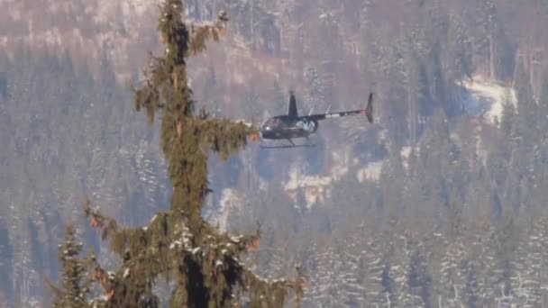 Вертолет летит над горным лесом — стоковое видео
