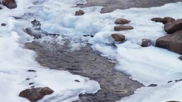 Rio da montanha corre rapidamente — Vídeo de Stock