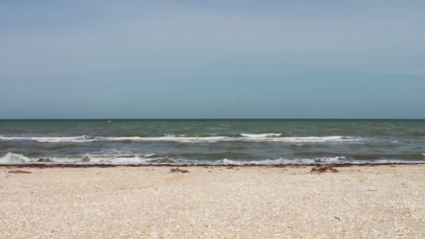 Zee, kust golven, strand en mooie hemel. — Stockvideo