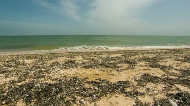 Пляж і хвилі на узбережжі . — стокове відео