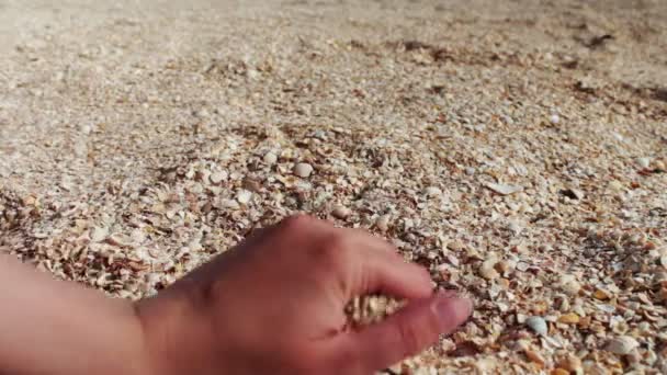 A mans hand neemt schelpen, zand op het strand — Stockvideo