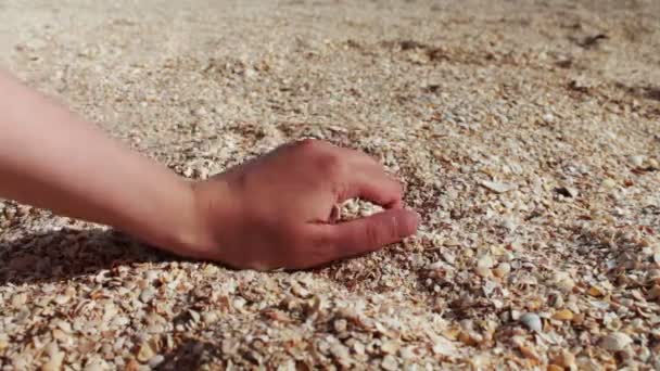 Α επανδρώνει χέρι παίρνει θαλασσινά κοχύλια, άμμος στην παραλία — Αρχείο Βίντεο