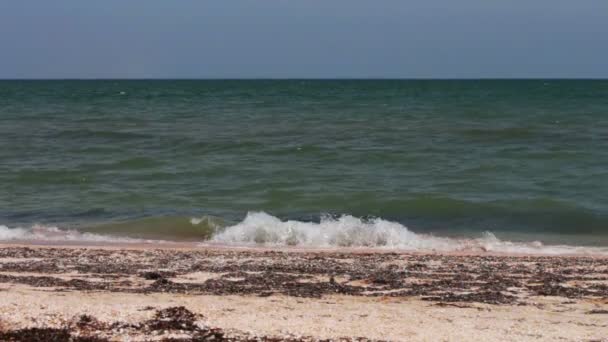 海、海岸の波、ビーチ、美しい空. — ストック動画