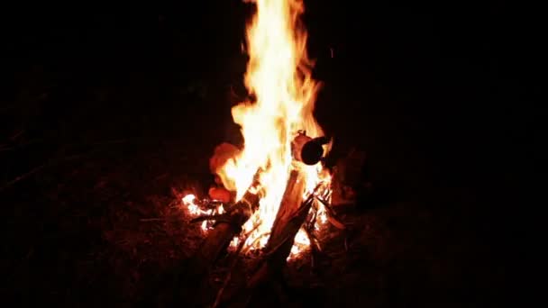 Bonfire night i skogen och glödande kol på marken och en massa gnistor från branden. — Stockvideo
