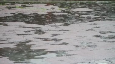Yağmur su birikintileri damlama. Yağmur damlaları.
