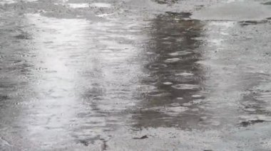 Yağmur su birikintileri damlama. Yağmur damlaları.