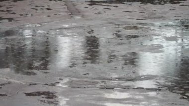 Yağmur su birikintileri damlama. Yağmur damlaları.
