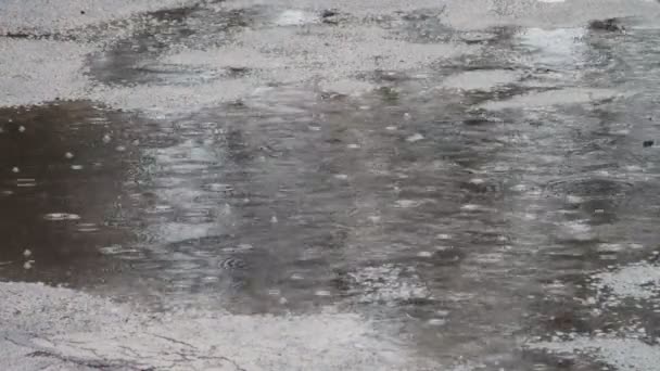 Chuva a pingar pelas poças. Gotas de chuva . — Vídeo de Stock