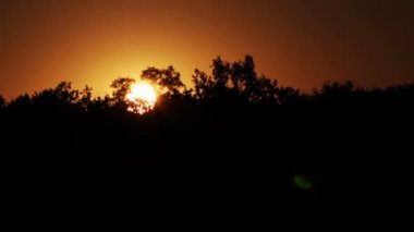 Ağaçların üzerinde gün batımı.