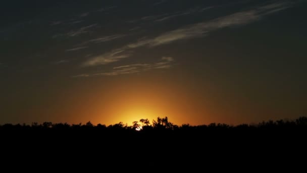 Tramonto sugli alberi. — Video Stock