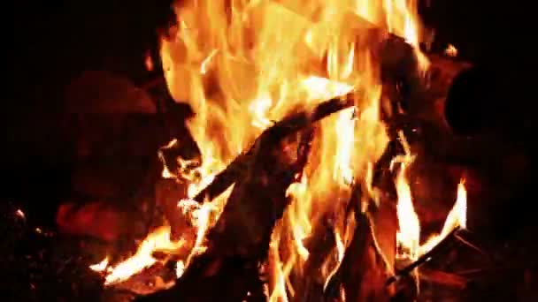 Vreugdevuur nacht in de bossen, en gloeiende kolen op de grond en een heleboel vonken van het vuur. — Stockvideo