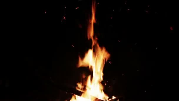 Vreugdevuur nacht in de bossen, en gloeiende kolen op de grond en een heleboel vonken van het vuur. — Stockvideo