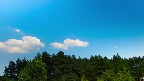 Mraky na obloze pohybující se nad stromy. — Stock video