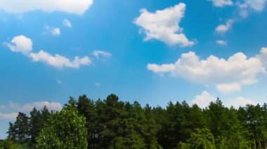 Ağaçlar üzerinde hareket gökyüzünde bulutlar.