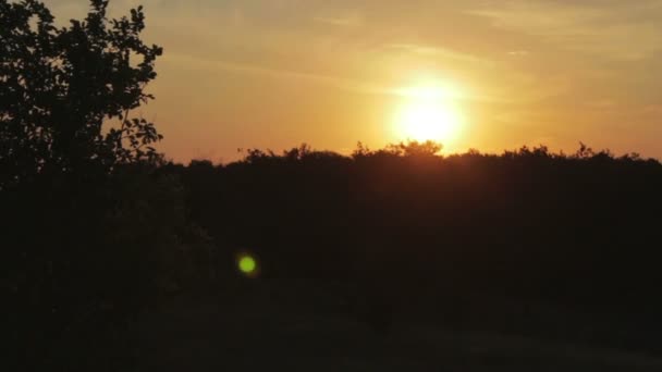 Sonnenuntergang über den Bäumen. — Stockvideo