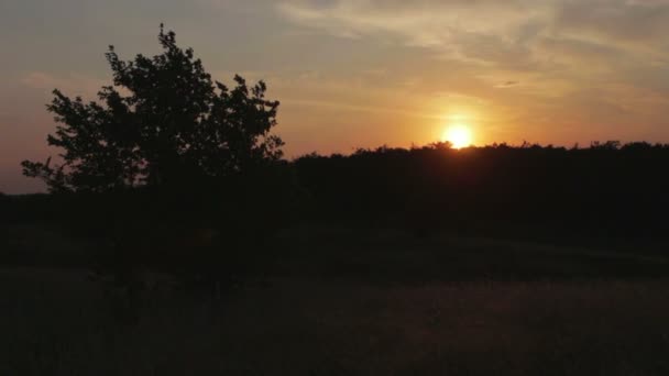 Sonnenuntergang über den Bäumen. — Stockvideo