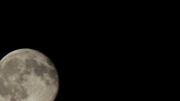 Luna llena moviéndose en el cielo nocturno sobre los árboles . — Vídeos de Stock